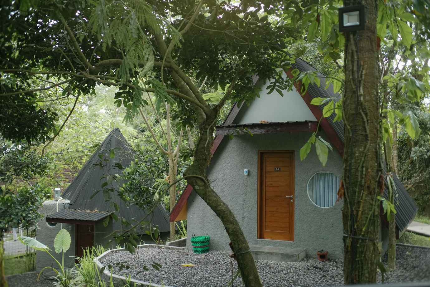 20048021-c4237f636e404f4d6371a449a70c8e6e